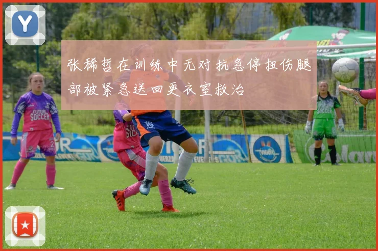 张稀哲在训练中无对抗急停扭伤腿部被紧急送回更衣室救治