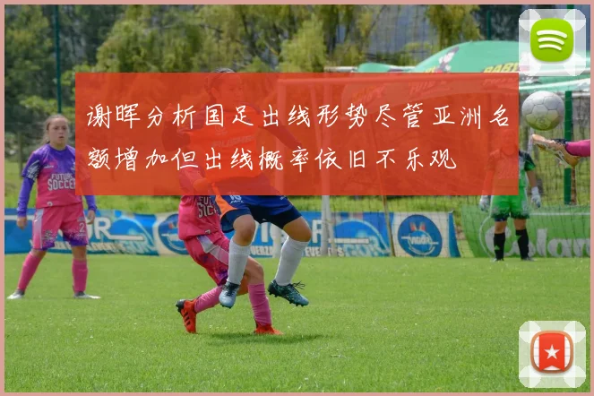 谢晖分析国足出线形势尽管亚洲名额增加但出线概率依旧不乐观