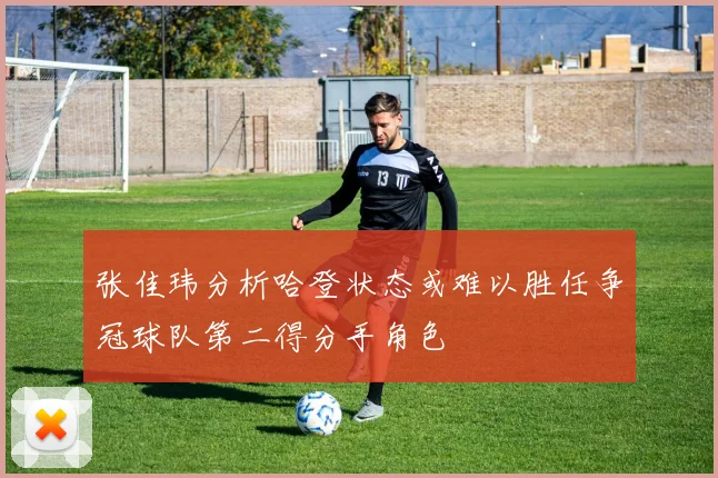 张佳玮分析哈登状态或难以胜任争冠球队第二得分手角色
