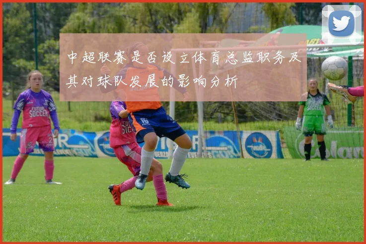 中超联赛是否设立体育总监职务及其对球队发展的影响分析